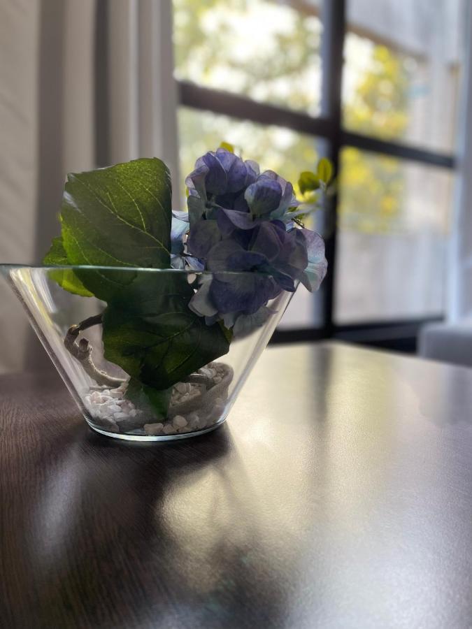 Dg Apartment - Le Relais Du Lac, Proche Disneyland Paris Lognes Eksteriør bilde